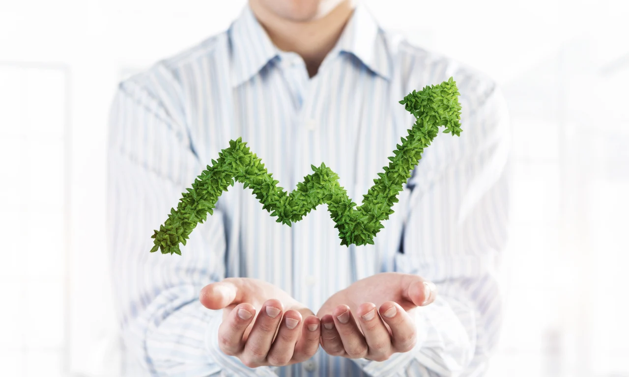 Sustentabilidade rentável